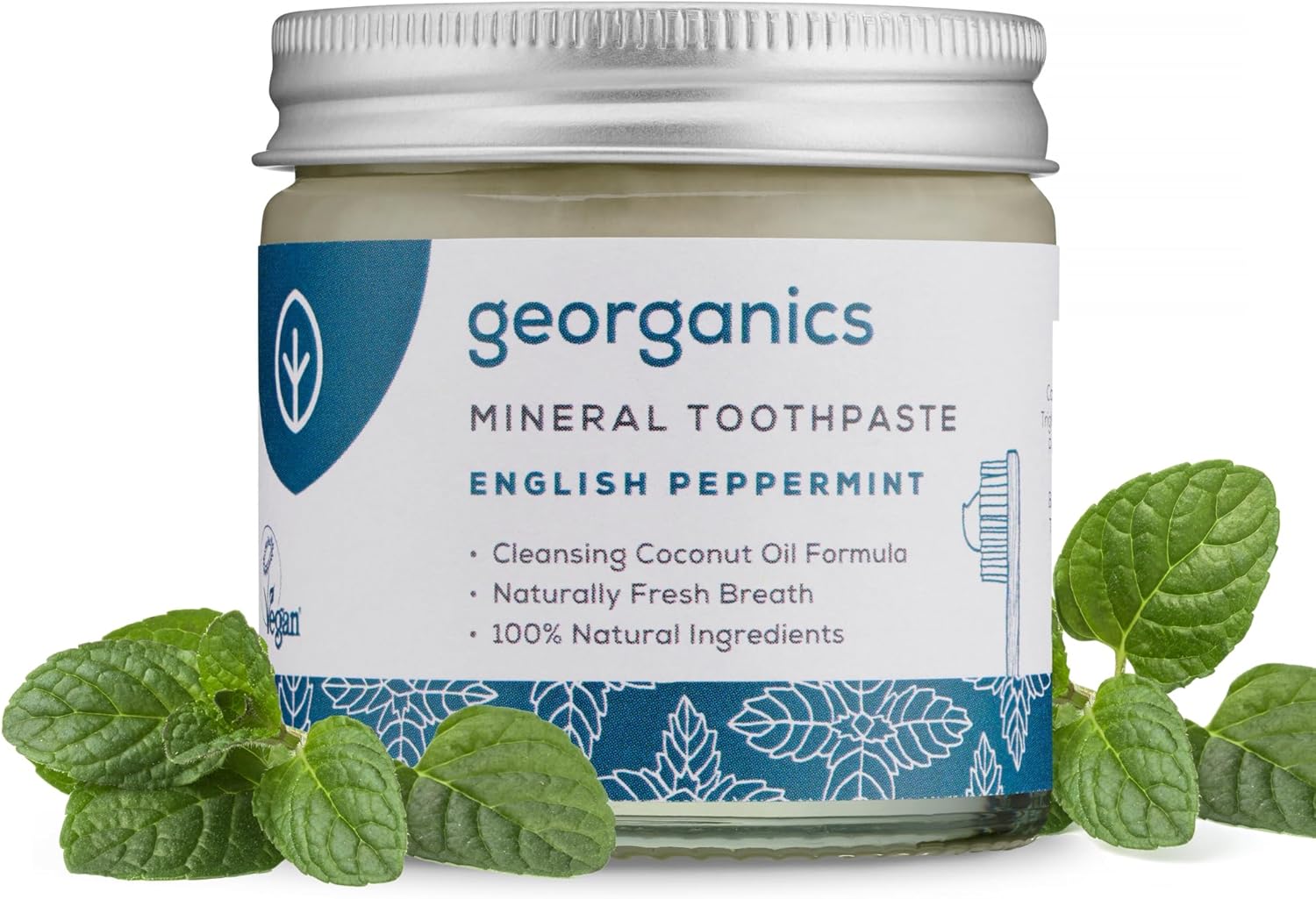Georganics Natural Mineral-Rich Toothpaste
